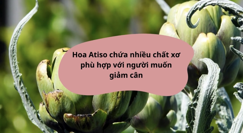 Loại hoa chứa chất xơ thích hợp cho người giảm cân. Đồ hoạ: Hương Giang 