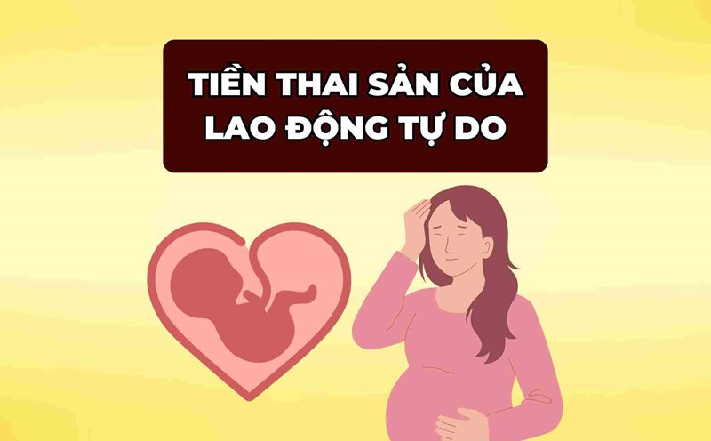 Điều 4 Luật Bảo hiểm xã hội 2024 đã bổ sung thêm chế độ trợ cấp thai sản đối với người tham gia bảo hiểm xã hội tự nguyện.