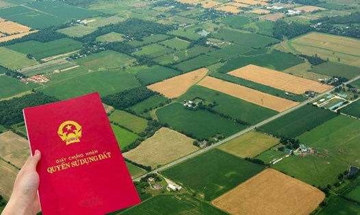 Đất không có giấy tờ có thêm cơ hội được cấp sổ đỏ, sổ hồng. Đồ hoạ: Phan Anh