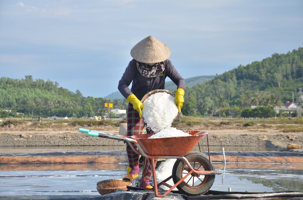 Diêm dân ở phường Phổ Thạnh, thị xã Đức Phổ thu hoạch muối. Ảnh: Viên Nguyễn