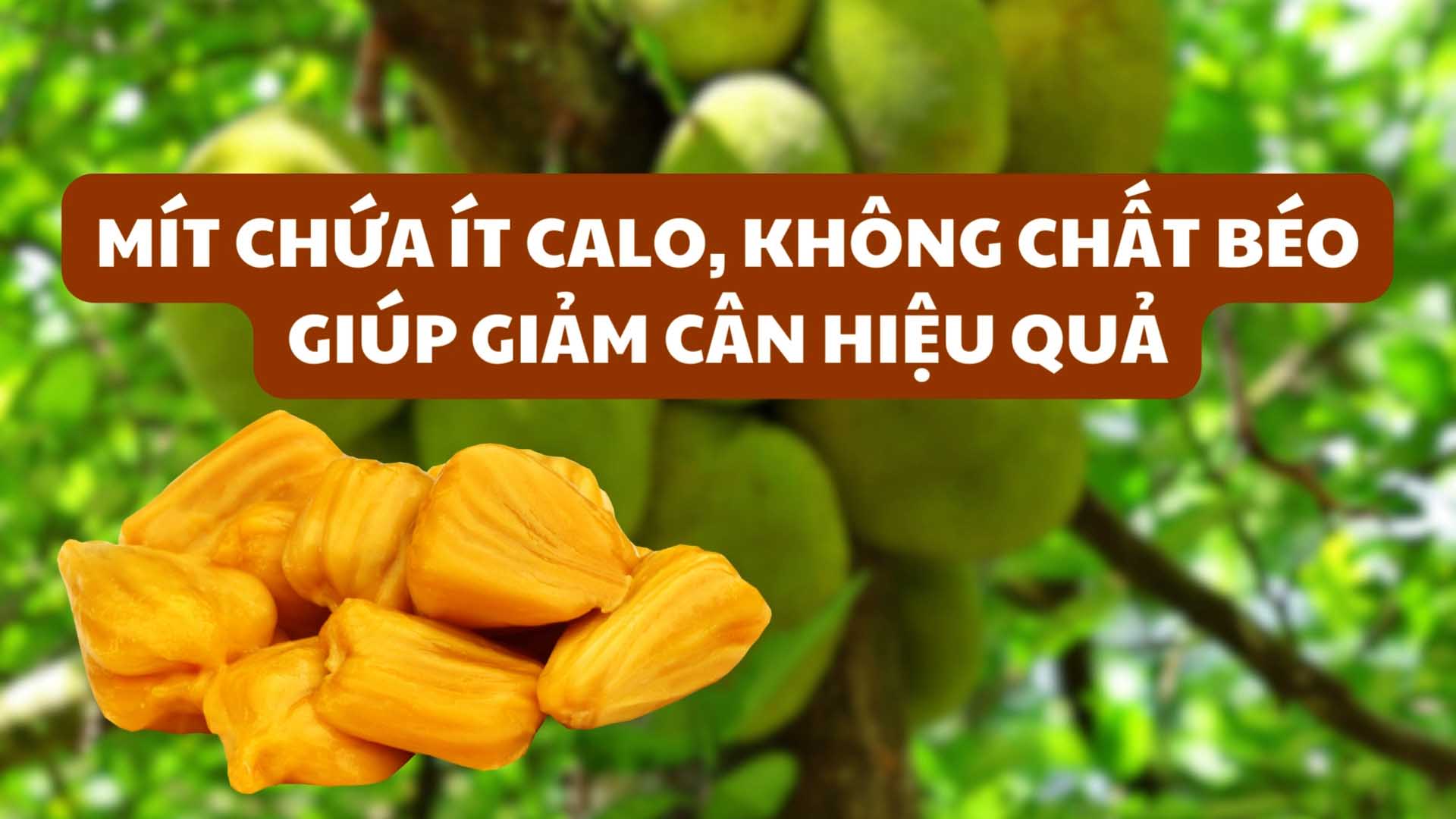 Mít chứa ít calo, không chất béo giúp giảm cân hiệu quả