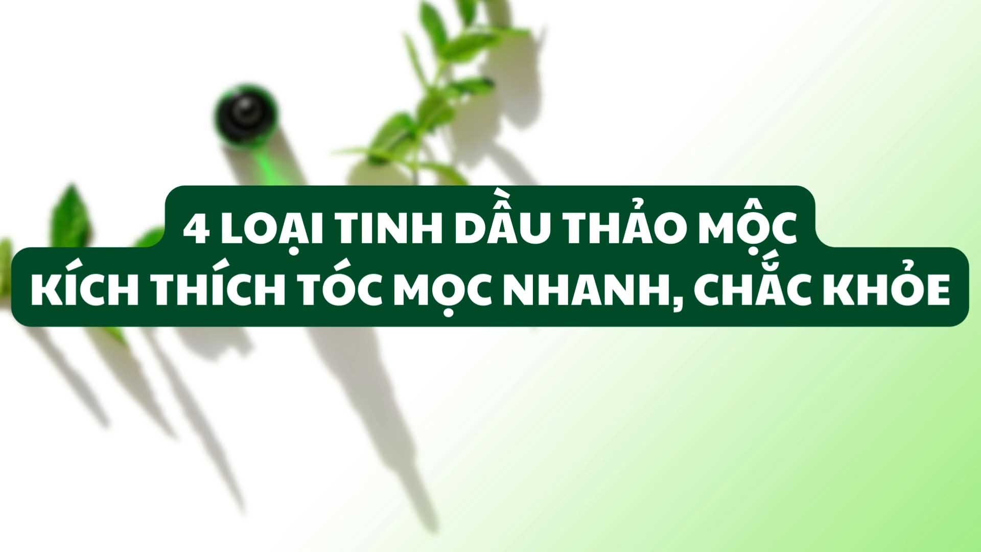 5 loại tinh dầu thảo mộc kích thích tóc mọc nhanh, chắc khỏe