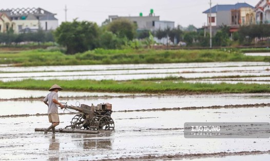 Đất nông nghiệp