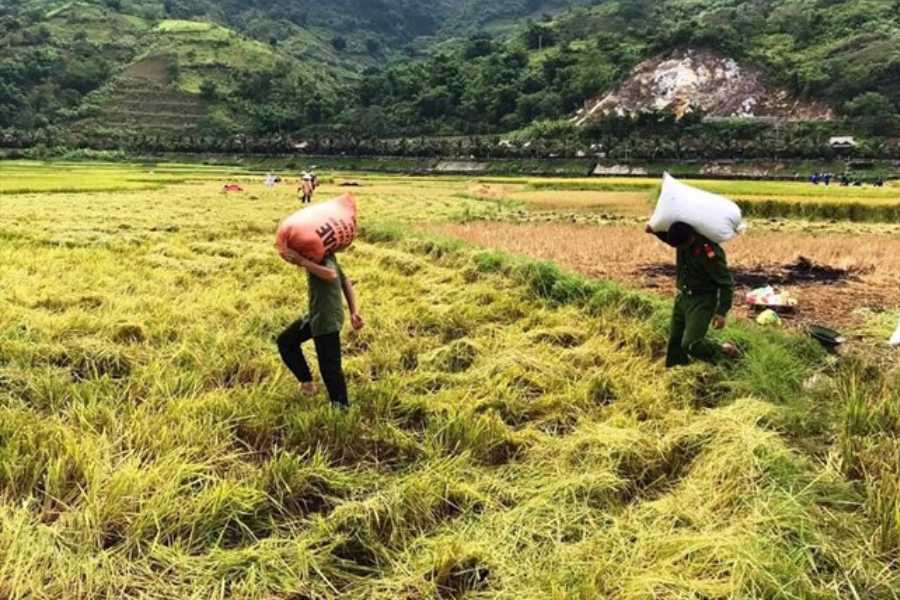 Giá đền bù đất nông nghiệp sẽ tăng cao khi Luật Đất đai 2024 có hiệu lực. Ảnh: Nguyễn Anh Tuấn