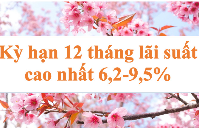 Nhiều ngân hàng niêm yết lãi suất cao nhất lên đến 6,2-9,5% cho kỳ hạn 12 tháng. Ảnh minh họa: Hà Vy