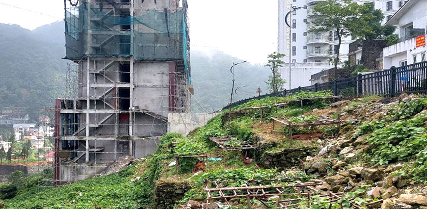 According to real estate brokers, land prices in Tam Dao are lower than the fever time of 2021. Photo: An Nhien