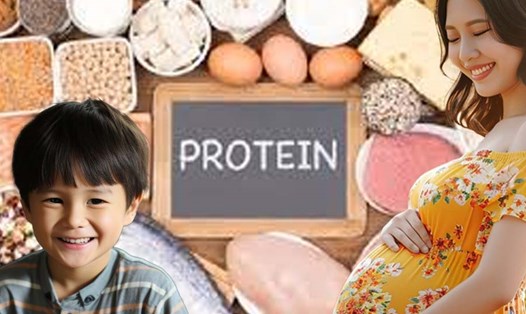 Chế độ ăn uống protein theo từng giai đoạn của cuộc đời. Đồ hoạ: Thiện Nhân