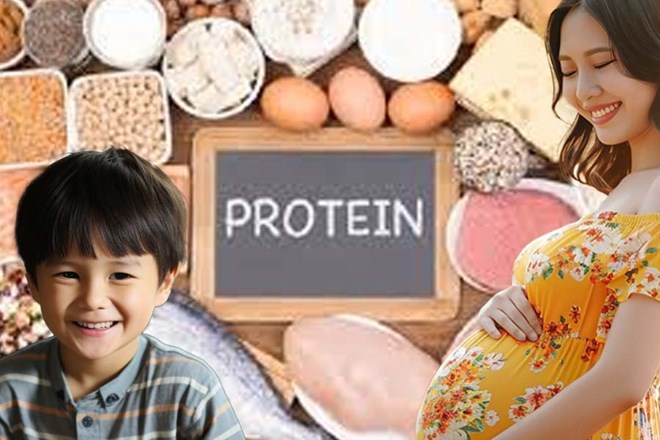 Chế độ ăn uống protein theo từng giai đoạn của cuộc đời