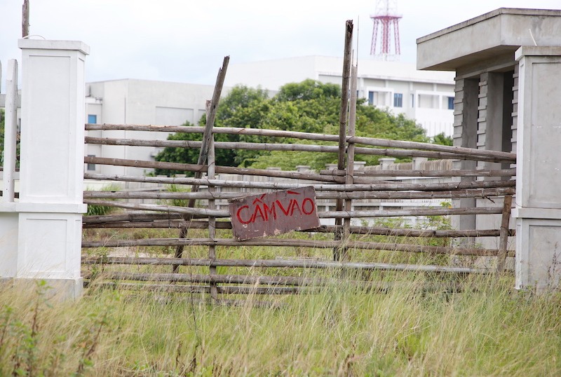 Weeds grow luxuriantly inside and outside the project. Photo: Cong Sang