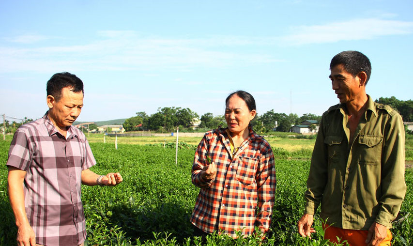 Trưởng thôn ở Thái Nguyên sẽ được hưởng mức phụ cấp theo Nghị quyết của HĐND tỉnh. Ảnh: Báo Thái Nguyên