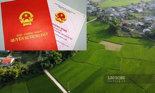 Luật Đất đai 2024 có hiệu lực từ 1.8 tới đã quy định rõ các trường hợp người sử dụng đất, tài sản gắn liền với đất không cấp sổ đỏ. Ảnh: Tân Văn