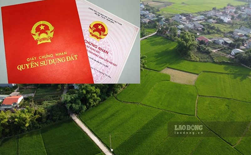 Luật Đất đai 2024 có hiệu lực từ 1.8 tới đã quy định rõ các trường hợp người sử dụng đất, tài sản gắn liền với đất không cấp sổ đỏ. Ảnh: Tân Văn