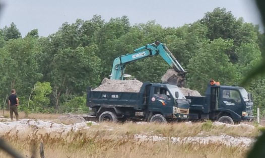 Máy múc khai thác cát trái phép rồi đổ lên các xe ôtô tải để vận chuyển ra bên ngoài. Ảnh: Hưng Thơ.
