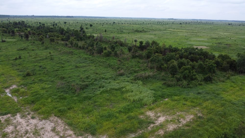 Vacant land in Lai Uyen town, Bau Bang district to build the Bau Bang Industrial Park project. Photo: Dinh Trong