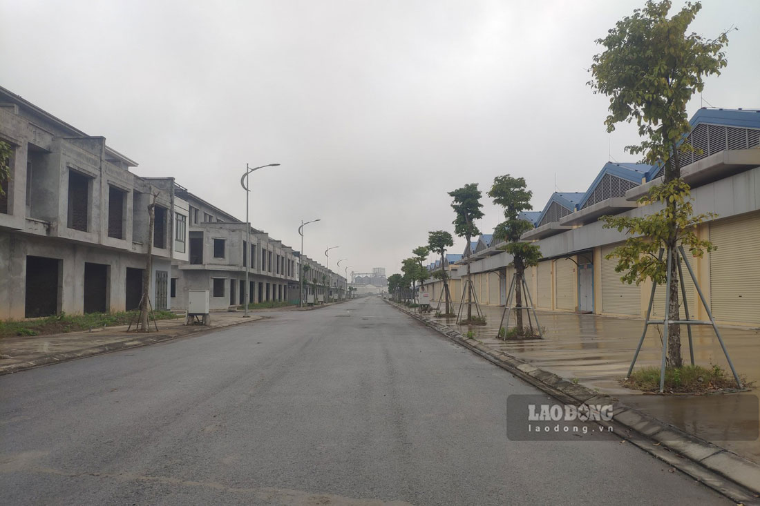 Dự án Chợ đầu mối Vĩnh Tường (Vĩnh Phúc) do Công ty CP Đầu tư xây dựng Sông Hồng Thăng Long chuyển nhượng cho Tập đoàn Phúc Sơn năm 2019. Ảnh: Bảo Nguyên