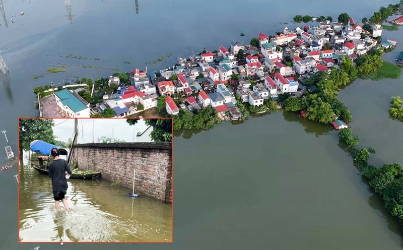Nước ngập sâu, người dân bị thiệt hại hàng nghìn con gia cầm