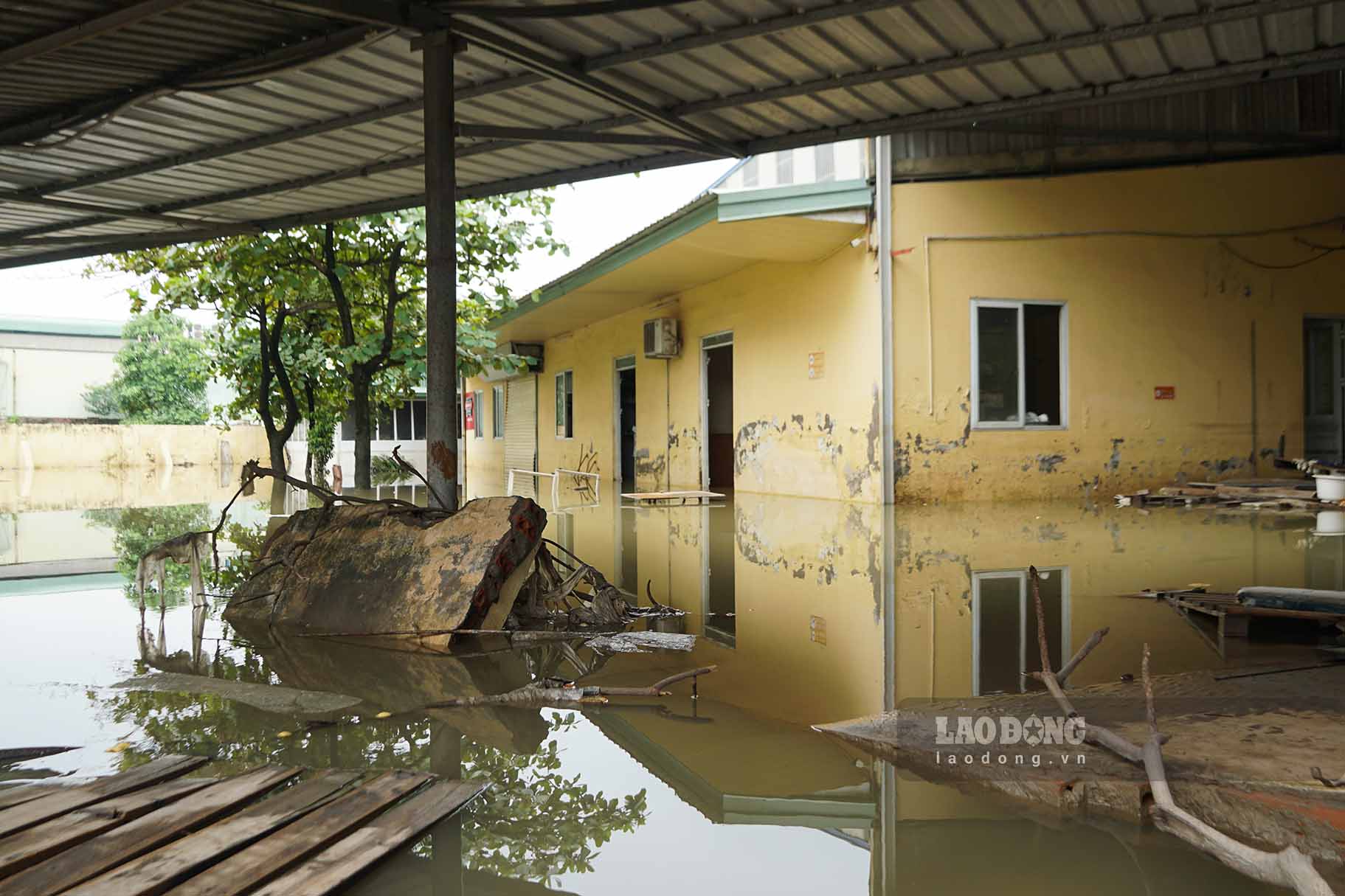 Bordering Thang Long Avenue are factories and companies, but they currently have to operate moderately or stop operating due to rising water levels after each heavy rain.