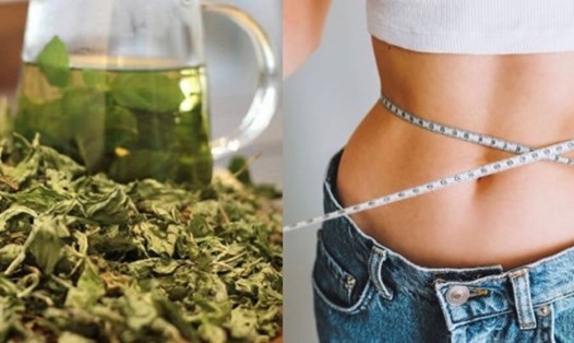 Ngoài điều trị mất ngủ, lá sen còn có thể giúp bạn giảm cân. Đồ hoạ: Hương Giang