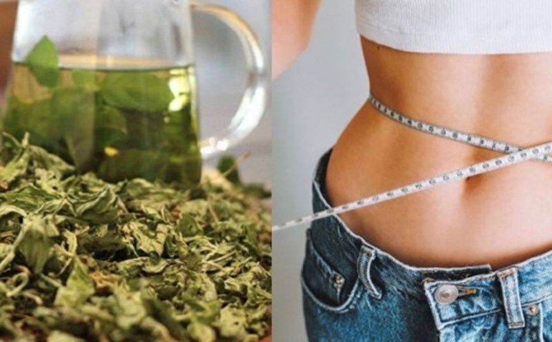 Ngoài điều trị mất ngủ, lá sen còn có thể giúp bạn giảm cân. Đồ hoạ: Hương Giang