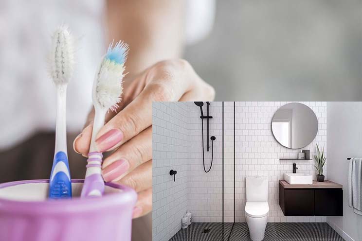 Bạn không nên để bàn chải đánh răng trong phòng tắm. Đồ họa: Ngọc Thùy