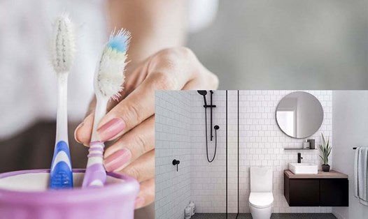 Bạn không nên để bàn chải đánh răng trong phòng tắm. Đồ họa: Ngọc Thùy