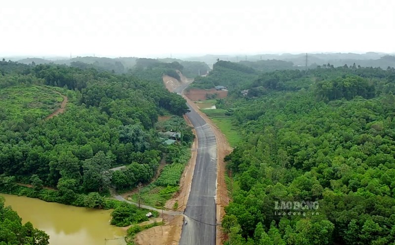 TP.HCM Đề Xuất Chuyển Mục Đích Sử Dụng Hơn 8 Ha Rừng Để Thực Hiện Các Dự Án Hạ Tầng 4 TP.HCM Đề Xuất Chuyển Mục Đích Sử Dụng Hơn 8 Ha Rừng Để Thực Hiện Các Dự Án Hạ Tầng