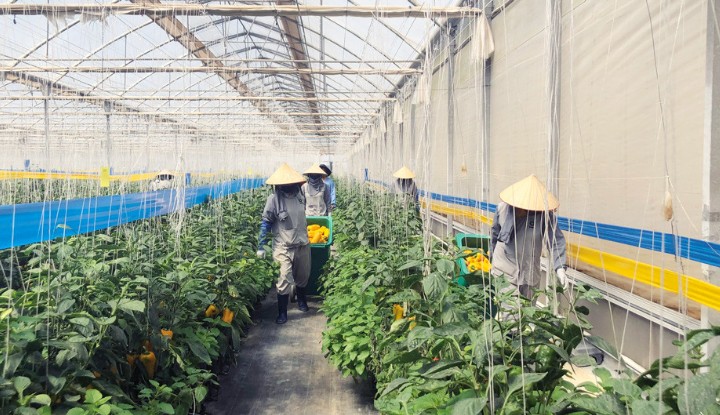 Công ty TNHH sản xuất BEJO Việt Nam luôn quan tâm đến môi trường làm việc của người lao động. Ảnh: D.QUỲNH