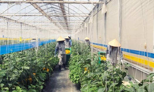 Công ty TNHH sản xuất BEJO Việt Nam luôn quan tâm đến môi trường làm việc của người lao động. Ảnh: D.QUỲNH