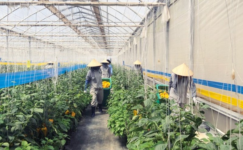 Công ty TNHH sản xuất BEJO Việt Nam luôn quan tâm đến môi trường làm việc của người lao động. Ảnh: D.QUỲNH