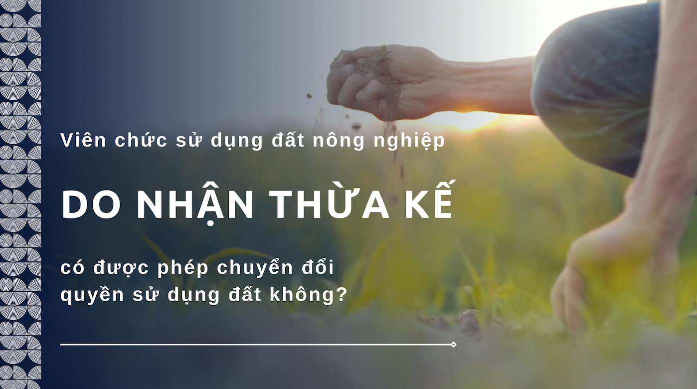 Viên chức sử dụng đất nông nghiệp do nhận thừa kế có được phép chuyển đổi quyền sử dụng đất không. Thiết kế: Trần Hương
