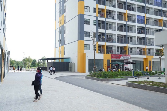 Người độc thân thu nhập mỗi tháng dưới 15 triệu đồng sẽ   được xét điều kiện mua nhà ở xã hội. Ảnh: Minh Hạnh