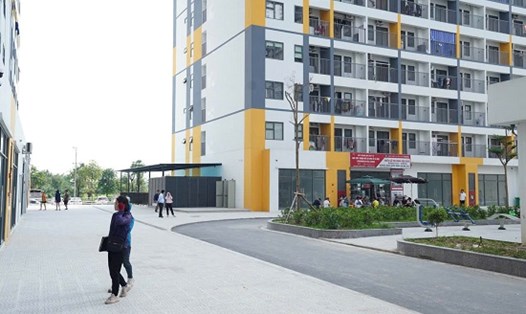 Người độc thân thu nhập mỗi tháng dưới 15 triệu đồng sẽ   được xét điều kiện mua nhà ở xã hội. Ảnh: Minh Hạnh