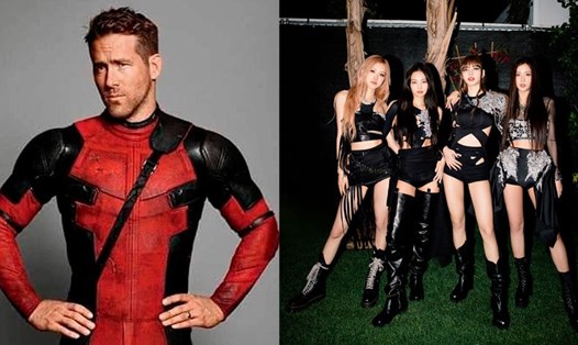 Ryan Reynolds "Deadpool & Wolverine" thích Blackpink. Ảnh: AllKPop.