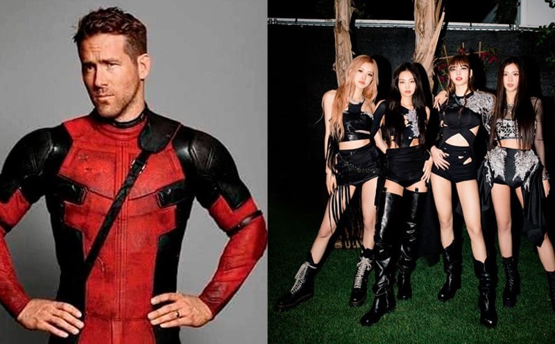 Ryan Reynolds "Deadpool & Wolverine" thích Blackpink. Ảnh: AllKPop.