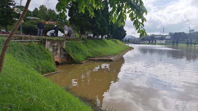 Cá chết trắng một góc hồ Xuân Hương ở Đà Lạt