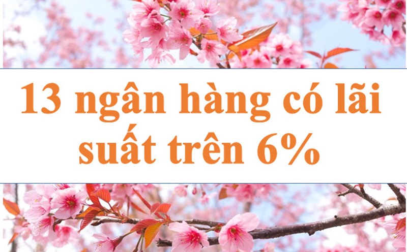 Lãi suất ngân hàng liên tục tăng, 13 ngân hàng có lãi suất trên 6%. Ảnh minh họa: Hà Vy