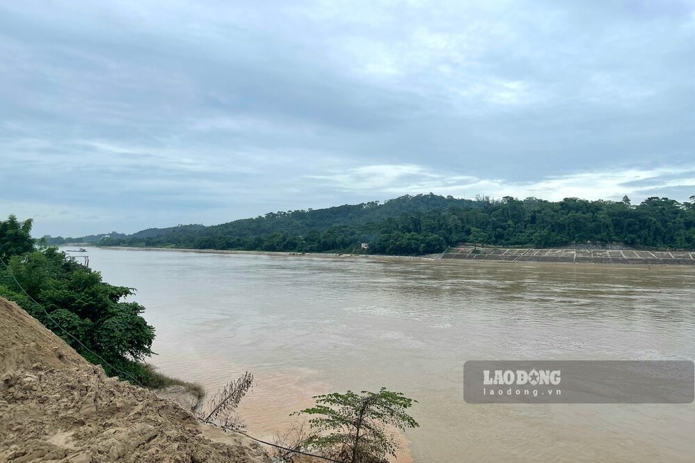 In recent days, the northern mountainous provinces have often had heavy rains, combined with the discharge of many hydroelectric reservoirs, causing the water level of downstream rivers to rise. Photo of Da River (Thanh Thuy district, Phu Tho - Ba Vi district, Hanoi).