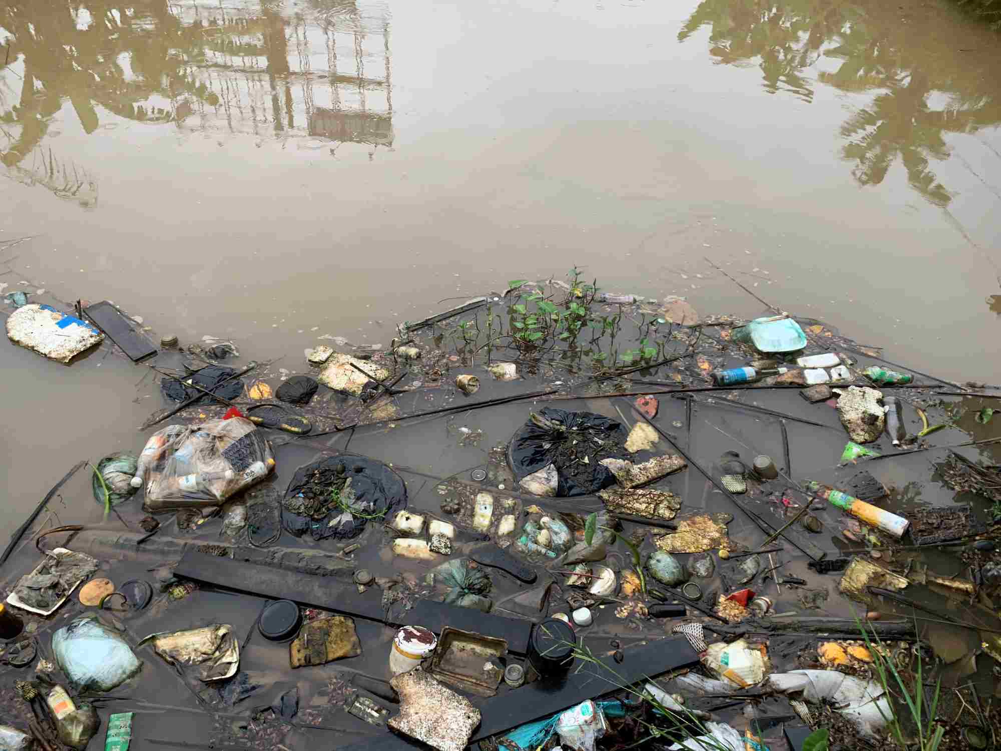 Near the spontaneous landfill, the ditch of Road 10 is also showing signs of serious pollution. Photo: Thien Ha