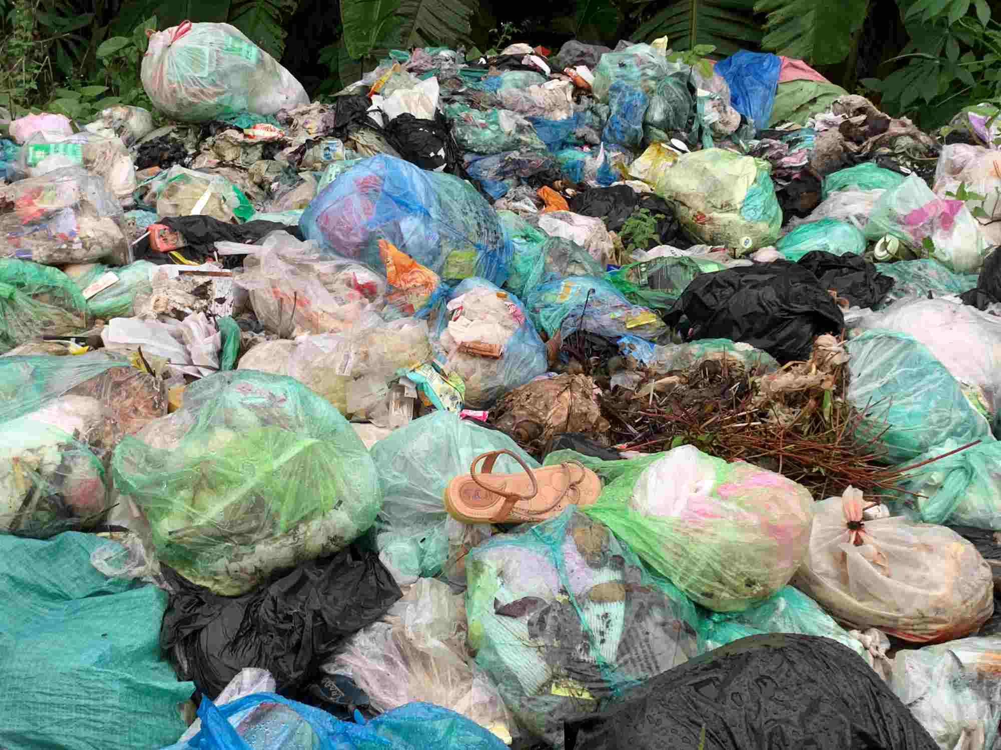 Garbage piles up and smells bad. Photo: Thien Ha