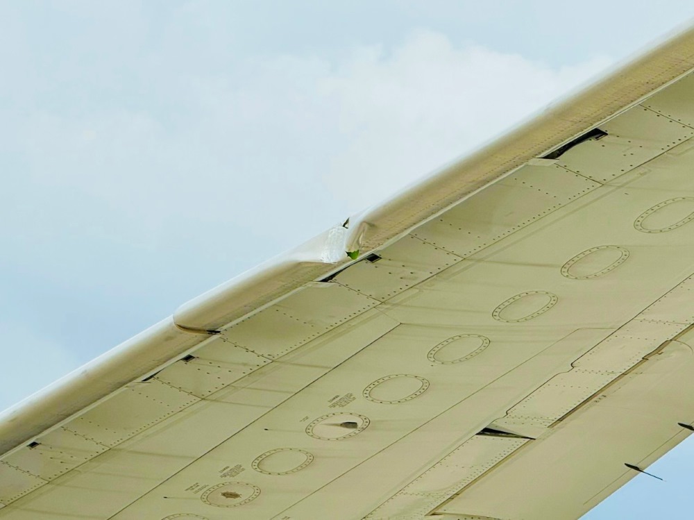 Máy bay hãng Eva Air đâm trúng cột đèn ở Tân Sơn Nhất chiều 3/7, dẫn đến bị móp cánh. Ảnh: TIA