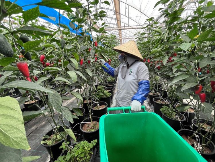 Tổ chức Công đoàn tại Công ty TNHH Sản xuất Bejo Việt Nam hoạt động rất sôi nổi và hiệu quả. Ảnh: Thu Trang