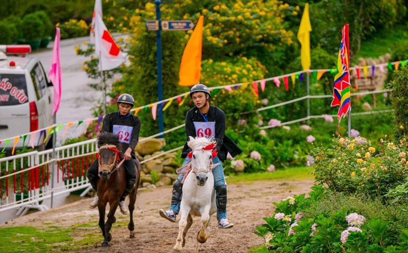 Mùa giải “Vó ngựa trên mây” lần thứ 6 được tổ chức tại Sa Pa đưa du khách sống lại nét văn hóa bản địa đặc sắc từ hàng trăm năm trước, bên cung đường đua rợp sắc hoa hồng. Ảnh: Phạm Quỳnh