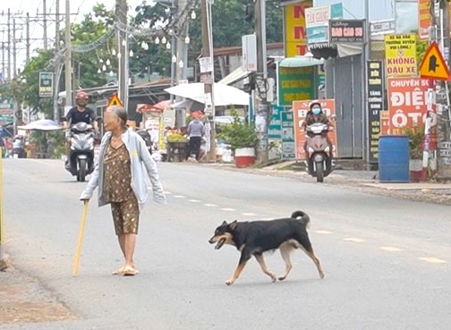 Hình minh họa. Ảnh: HAC