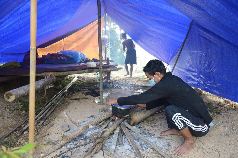 Nhiều người dân huyện miền núi Sơn Tây, tỉnh Quảng Ngãi dựng liều, phân công các thành viên của gia đình ngày đêm canh giữ các rẫy cau. Ảnh: Viên Nguyễn