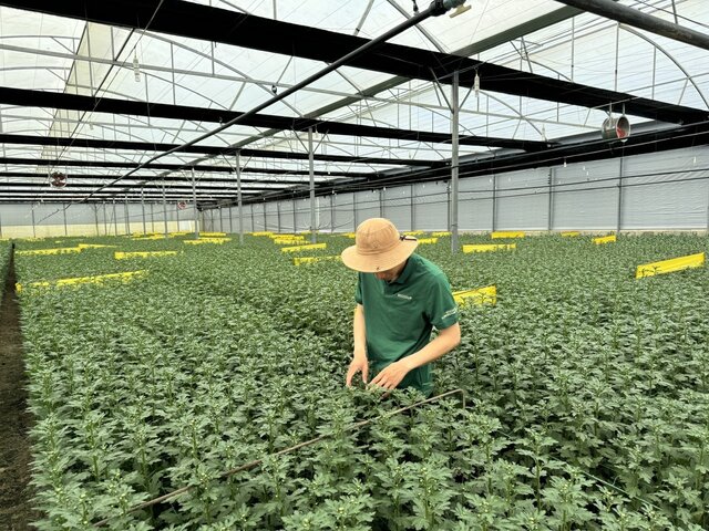 Công nhân, viên chức, lao động huyện Lạc Dương tích cực tham gia các hoạt động phong trào. Ảnh: Mai Hương