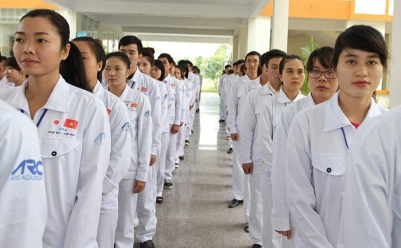 Ứng viên điều dưỡng, hộ lý đi làm việc tại Nhật Bản. Ảnh:  Hải Nguyễn