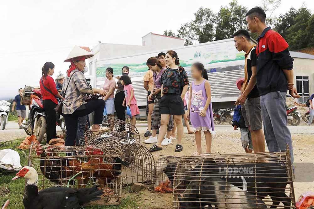 Hay những sản phẩm từ chăn nuôi.