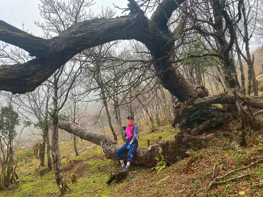 Cánh rừng già nguyên sinh bạt ngàn trên cung đường trekking tới Ky Quan San. Ảnh: Trang Anh Hoàng
