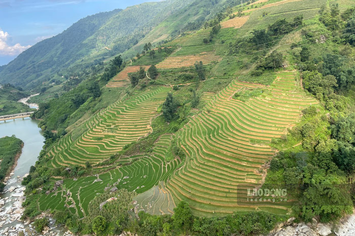 Cánh đồng ruộng bậc thang xếp thành chồng chồng, lớp lớp, hùng vĩ và nên thơ giữa đại ngàn Tây Bắc.