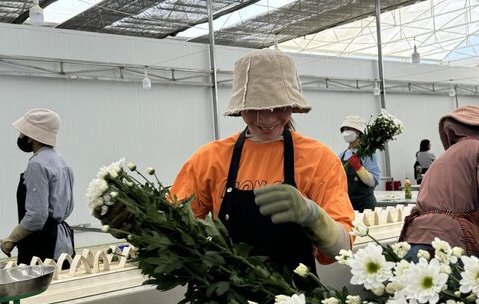 Có 100% Công đoàn cơ sở doanh nghiệp tại huyện Lạc Dương (tỉnh Lâm Đồng) ký kết thỏa ước lao động tập thể. Ảnh: Mai Hương